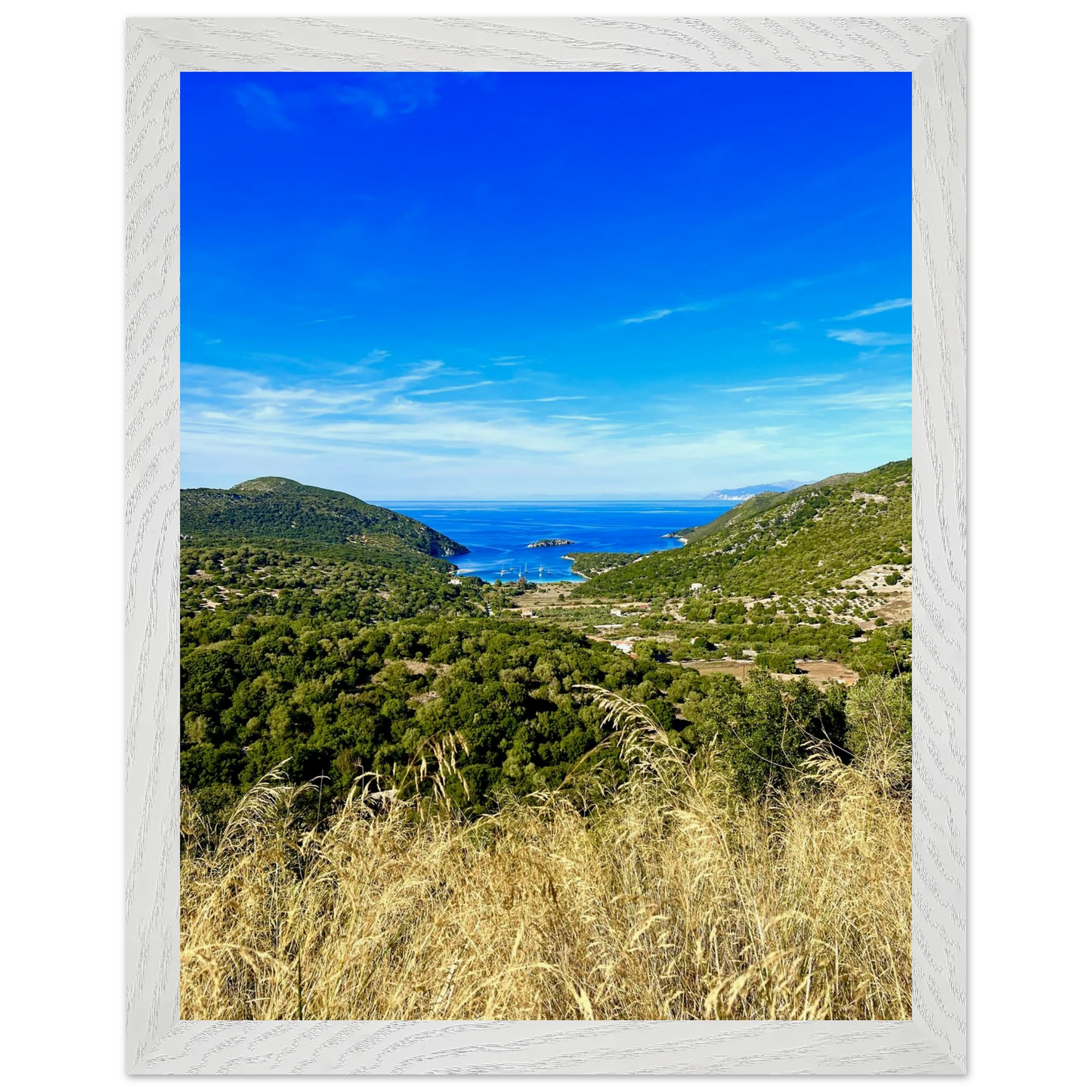 9279f206-2b8d-4b2e-b0b3-b85259981c4b