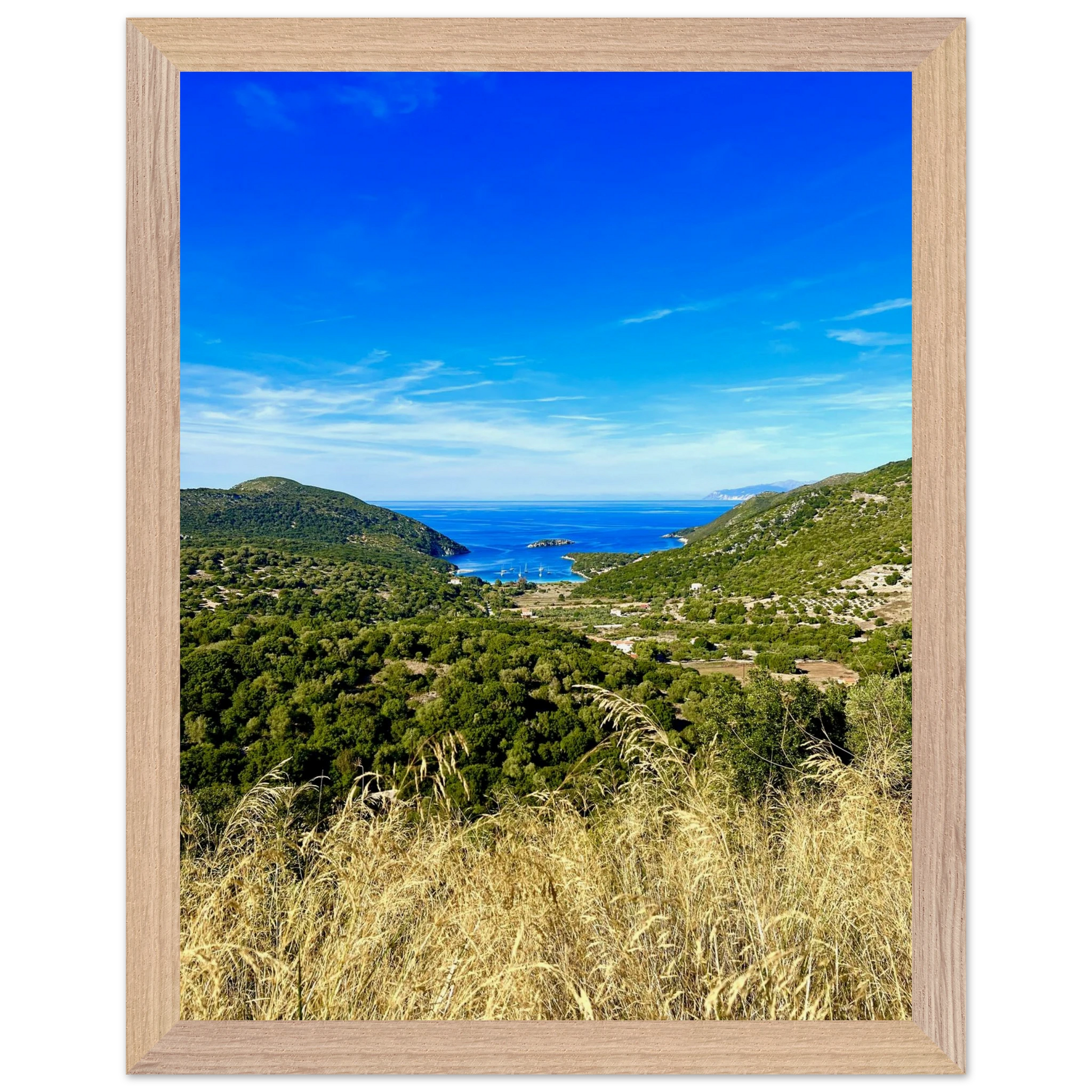 aaa12a22-9224-4251-bb78-d429d58ec8a3