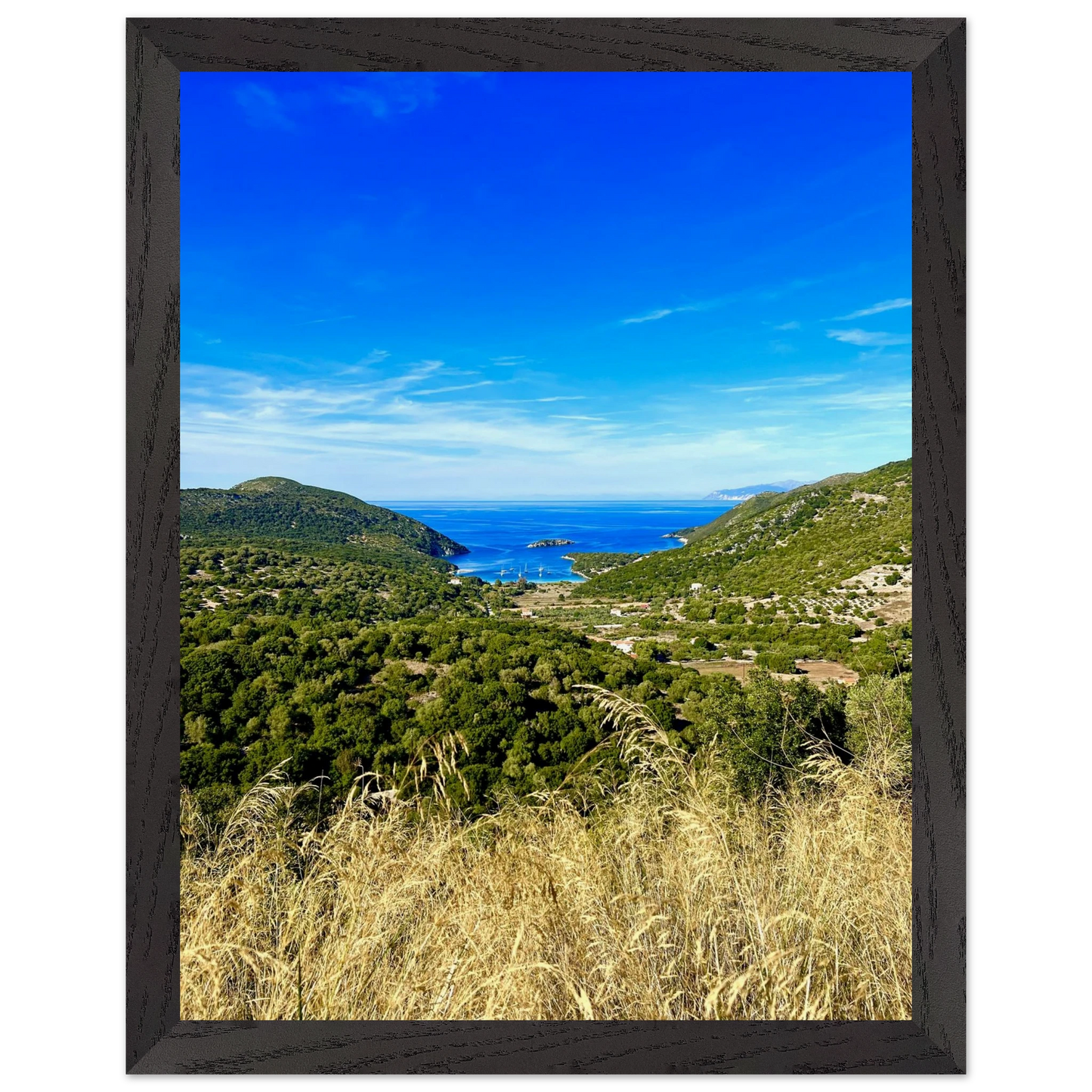 c9ccaf8a-44b5-443a-8e5a-f63364470fc2