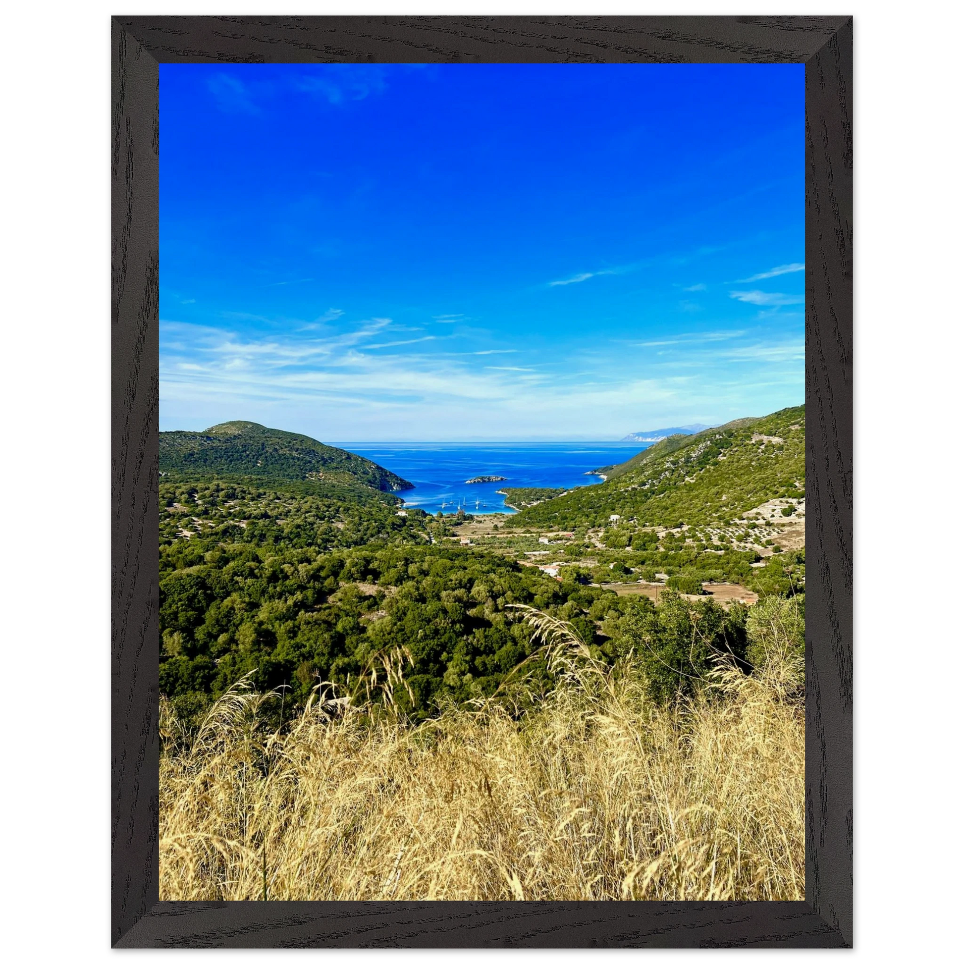 c9ccaf8a-44b5-443a-8e5a-f63364470fc2